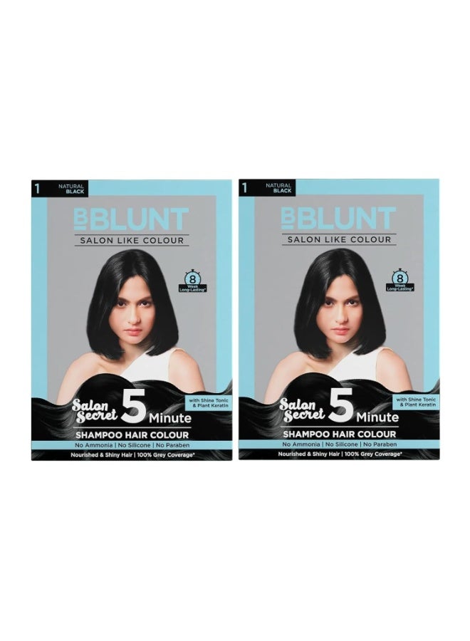 Bblunt Natural Black 5 Minute Shampoo Hair Colour - 20ml X10 (Pack of 2) | Colours Within 5 Minutes - Image 1